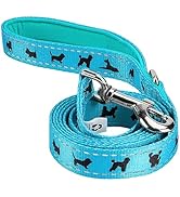 EcoBark Dog Leash - 4 FT / 5 FT / 6 FT Reflective Dog Leash- Eco-Bright Dog Leashes with Padded H...