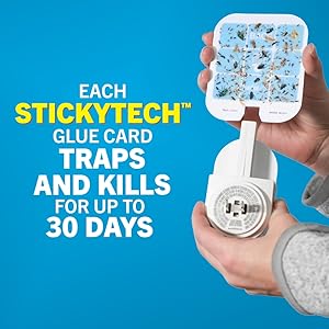 each safer home stickytech glue card traps and kills for up to 30 days