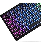 SDYZ x XVX Doubleshot PBT Keycaps 60 75 100 Percent - Shine Through Keycaps, for Mechanical Keybo...