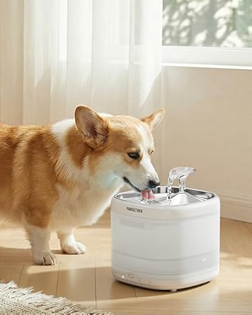 dog water dispenser