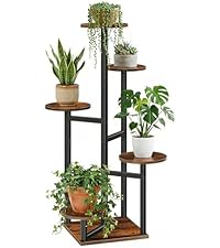 https://m.media-amazon.com/images/I/41vJU%2BsX2hL.__AC_SR200,225___.jpg