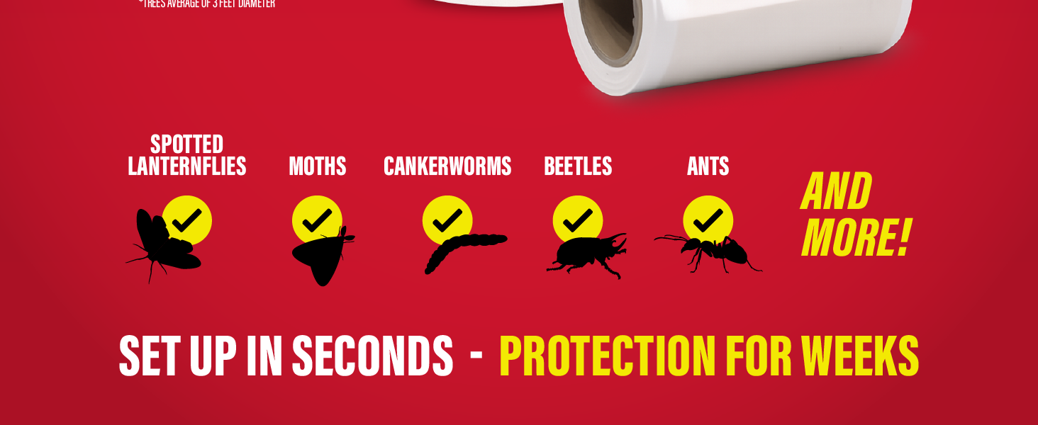 Tree shield graphic showing protection from lanternflies, moths, cankerworms, beetles and ants
