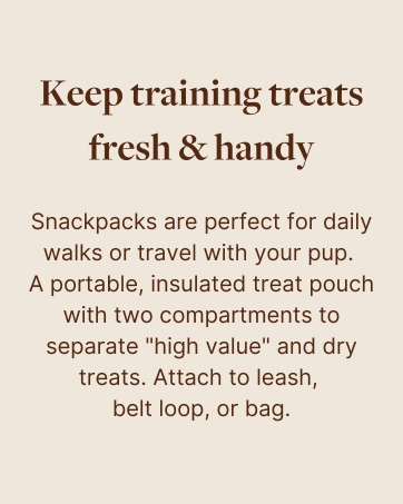 Cleverpup Brand Story Slide 3