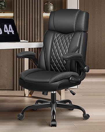 Desk Chair with Lumber support