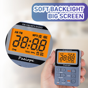 large LCD SCREEN
