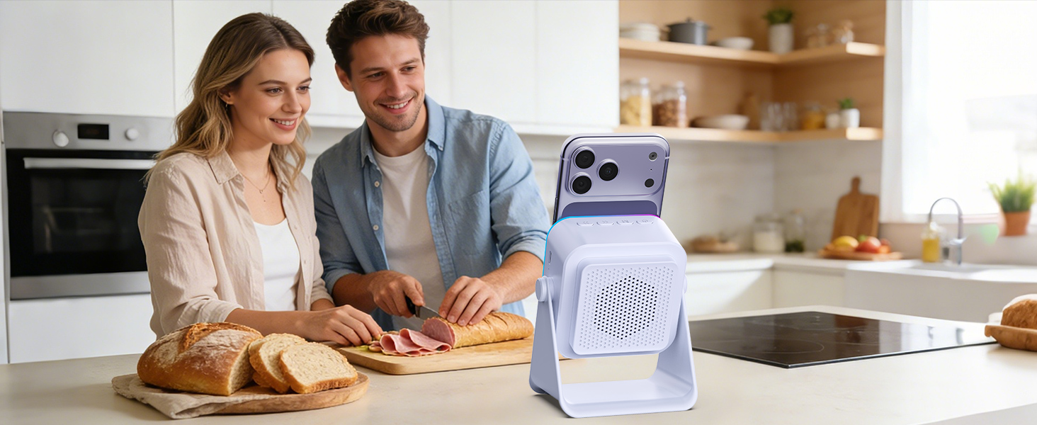 wireless induction speaker