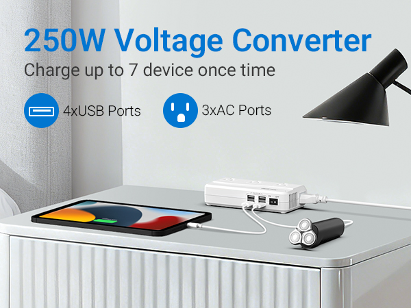 250W Voltage Converter