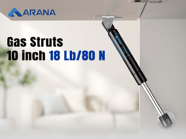 ARANA GAS STRUTS