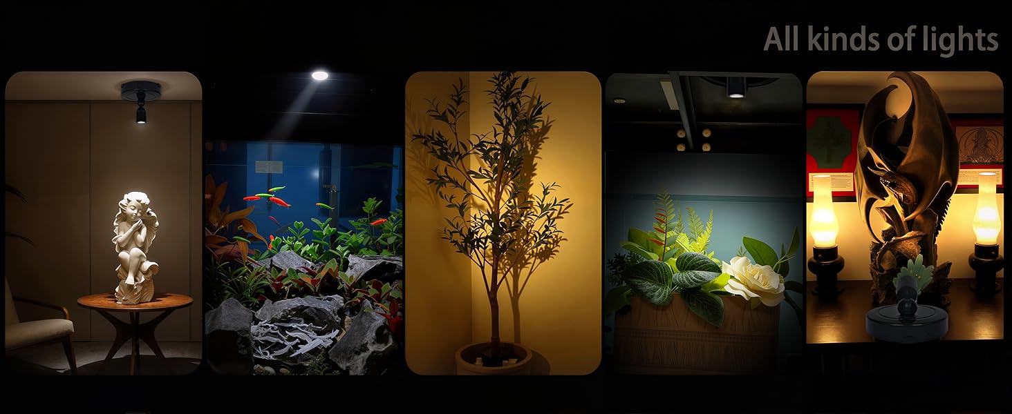 indoor art spotlight