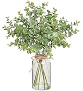 Zheart Fake Eucalyptus Stems in Glass Vase with Faux Water,14" Artificial Plants Eucalyptus Leave...