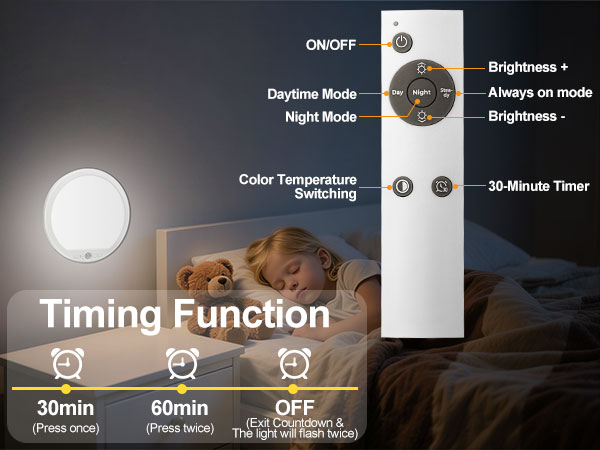 Motion Sensor Ceiling Light