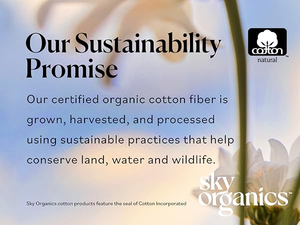 Sustainability