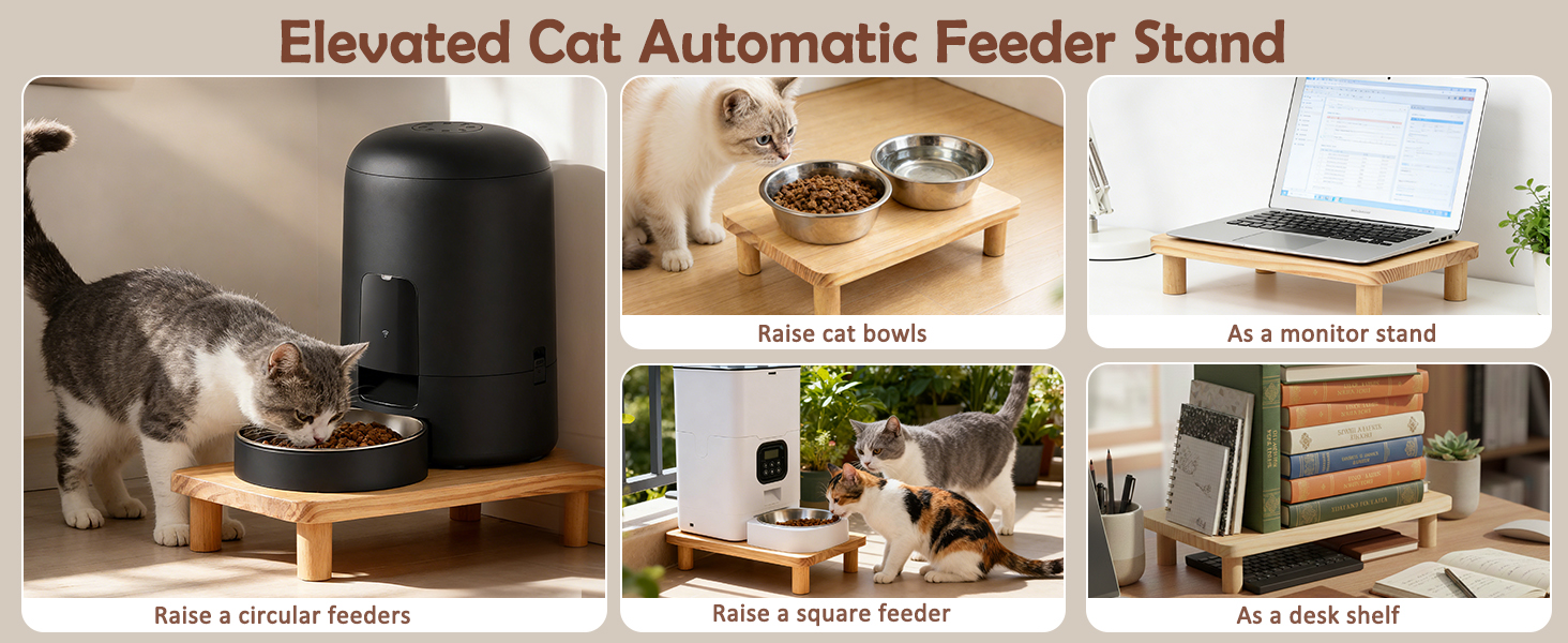automatic cat feeder elevated stand