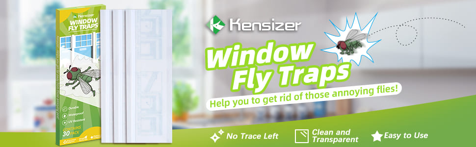 Window Fly Trap