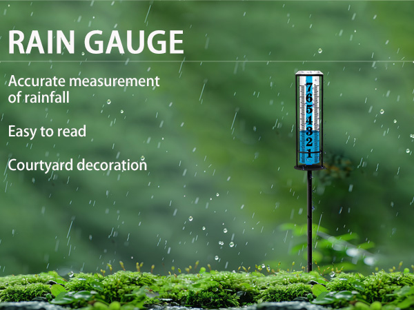Rain Gauge