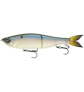 6th Sense Fishing - The Draw 6.5 inch Glide Bait - Wide Gliding Action - Realistic 3D Details - P...