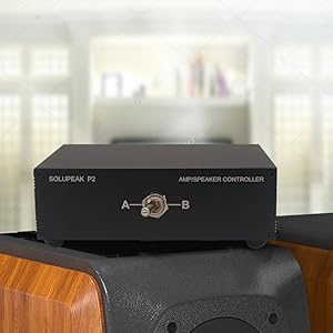 high speaker amp switch