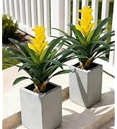 Ivydale Fake Flowers Plants for Outdoors, 2 Pcs 16.93" Bromeliad Artificial Flowers Uv Resistant ...