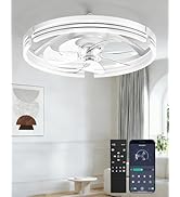 AIKVSXER Ceiling Fans with Lights and Remote, 20 Inch Low Profile Fandelier with APP Control, Ult...
