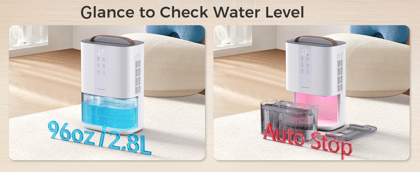 Dehumidifiers for Home