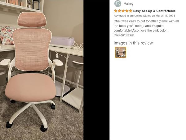 home office mesh chair