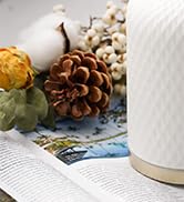 Onaboviva aroma diffuser