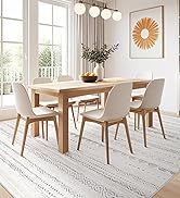 dining room rug