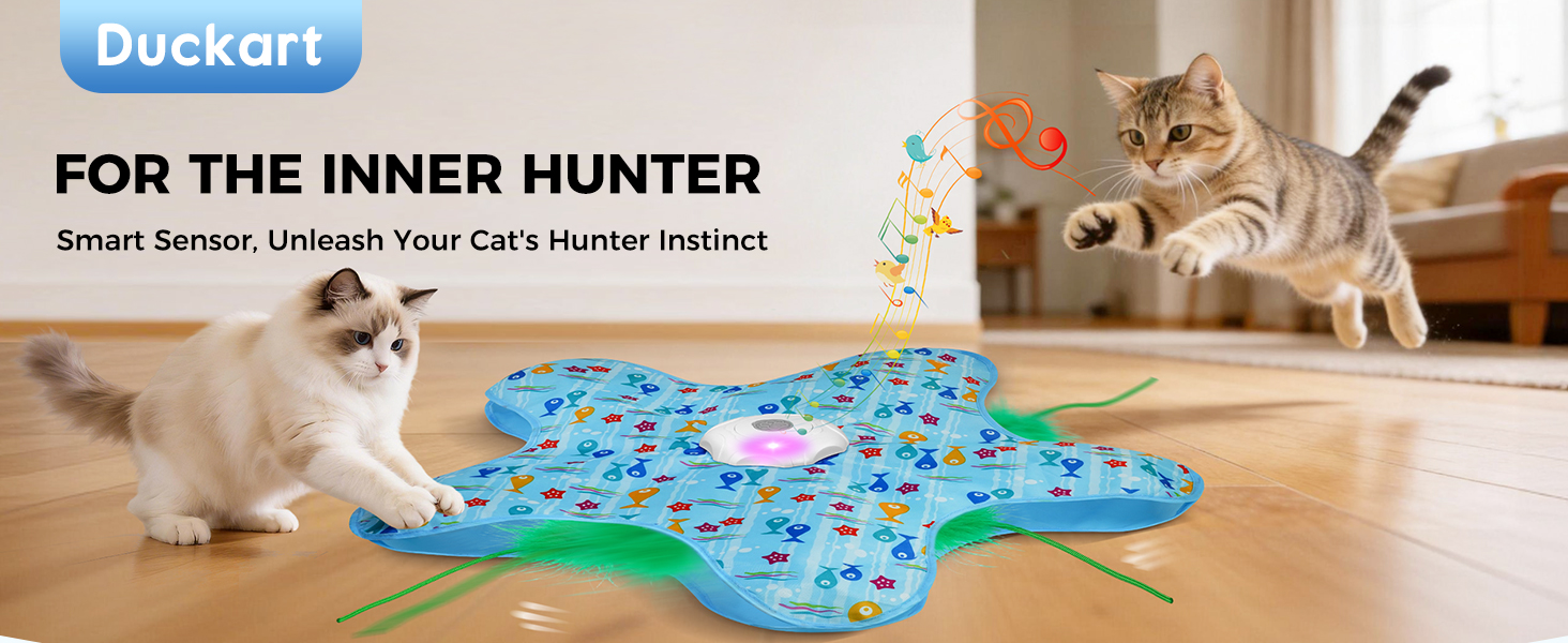 cat toys