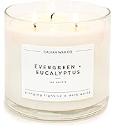 Calyan Wax Soy Wax Candle, Evergreen Eucalyptus, 3 Wick Scented Candle for The Home | Premium Can...