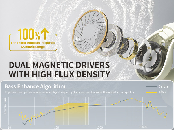 dual magnetic driver