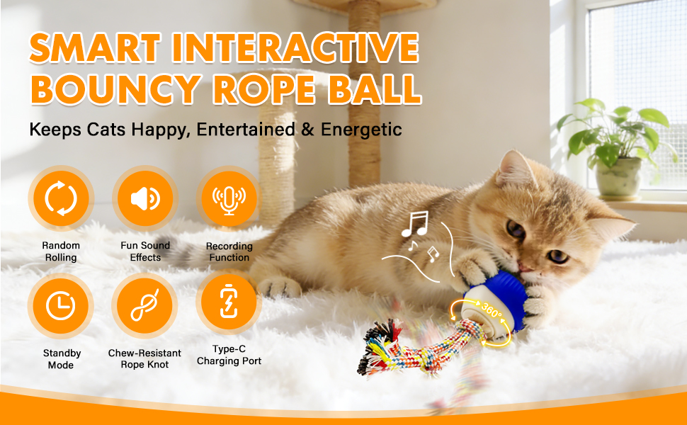 ADKS Interactive Spinning Pet Toy for Cats and Dogs