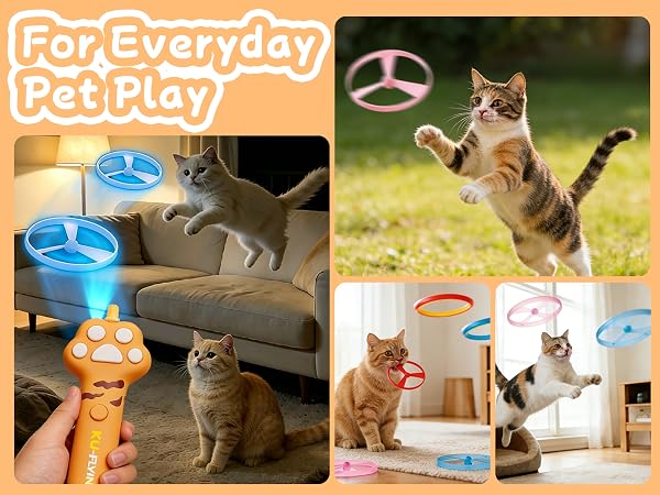 Cat Interactive Hunting Game