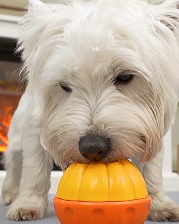 woof pupsicle