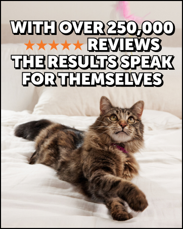 cat vitamins