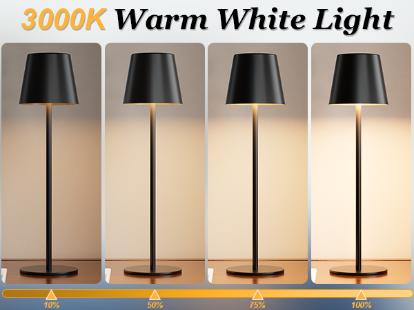 cordless table lamp