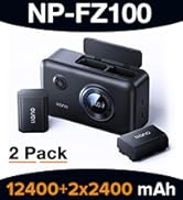 CS3-FZ100 2 BATTERY CHARGER SET