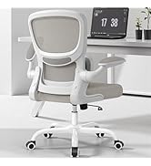 BESTFAIR Office Chair Ergonomic Desk Chair, Breathable Mesh Comfy Chair with Lumbar Support, Comp...