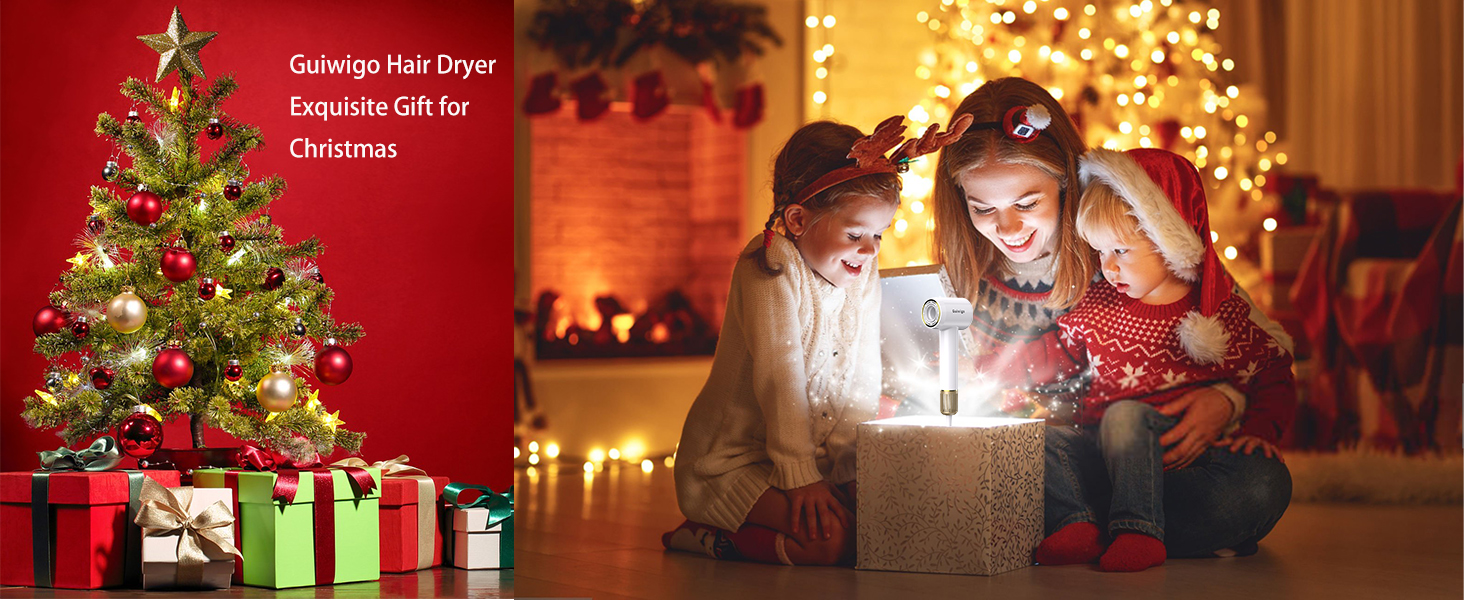 guiwigohairdryerforchrismas