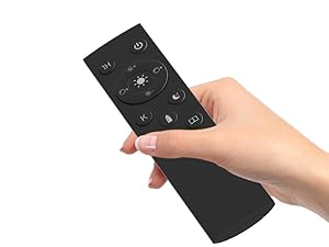 floor lamp with remote