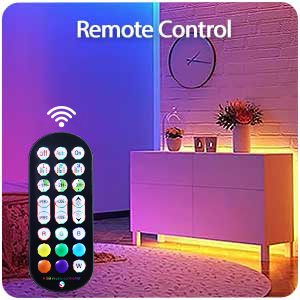 remote control