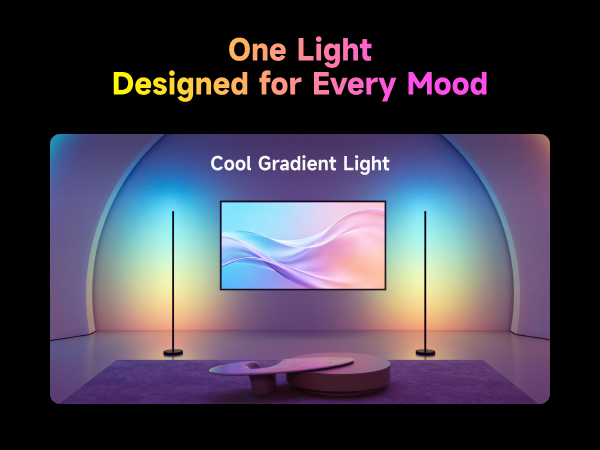LED Floor Lamp