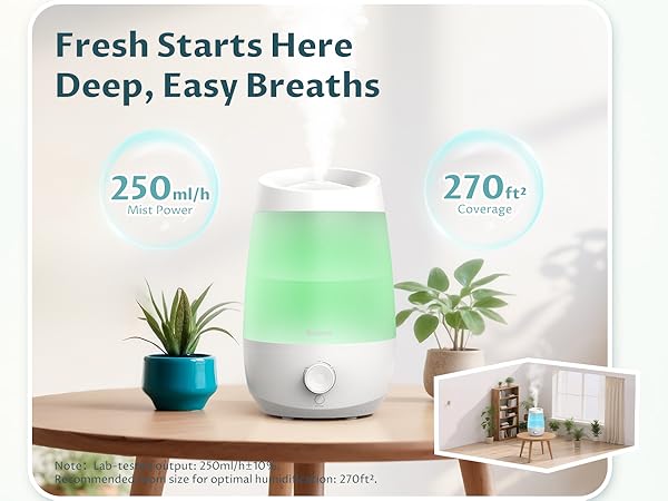 Humidifiers for Bedroom