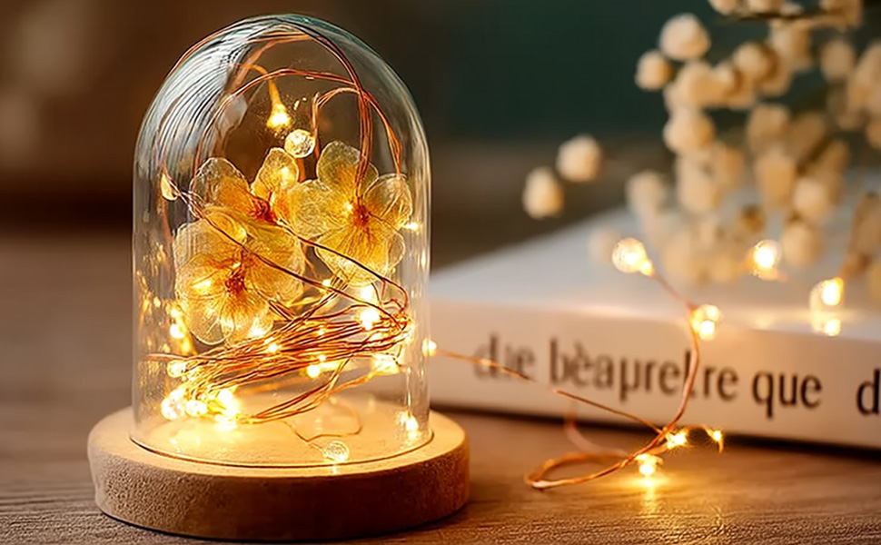 Fairy Lights 12P-6