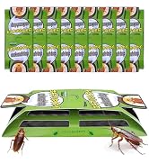 Roach Traps Indoor,Cockroach Trap,Roach Motel,Roach Traps Indoor for Home -15 Pack