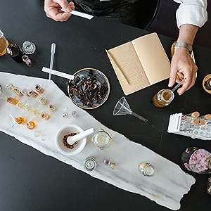 wall gray plant blueberry set scented small aqua floral aroma plants aronica