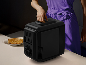 Mini Fridge Small Refrigerator Portable Thermoelectric Cooler and Warmer Fridge