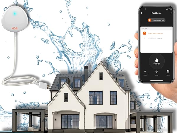 Water Sensor Alarm Leak Detector 