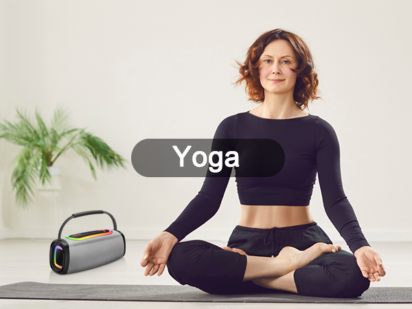 Portable Bluetooth Speaker