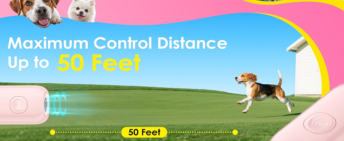 Compact and portable design