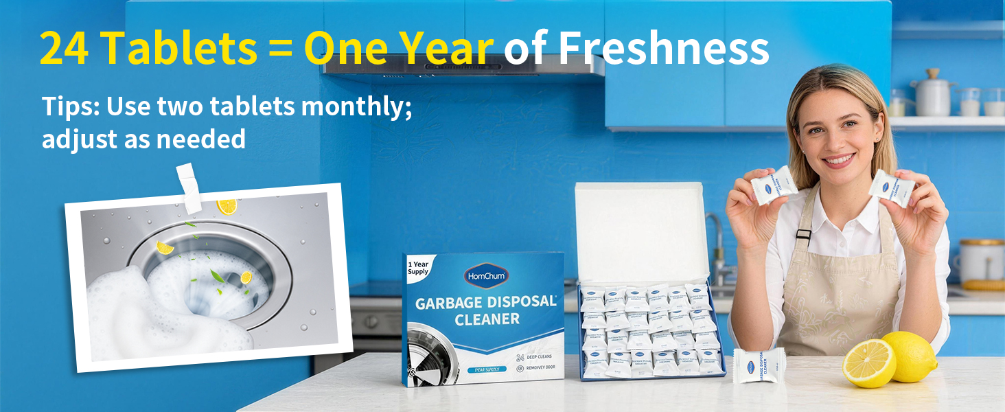 garbage disposal cleaner and deodorizer